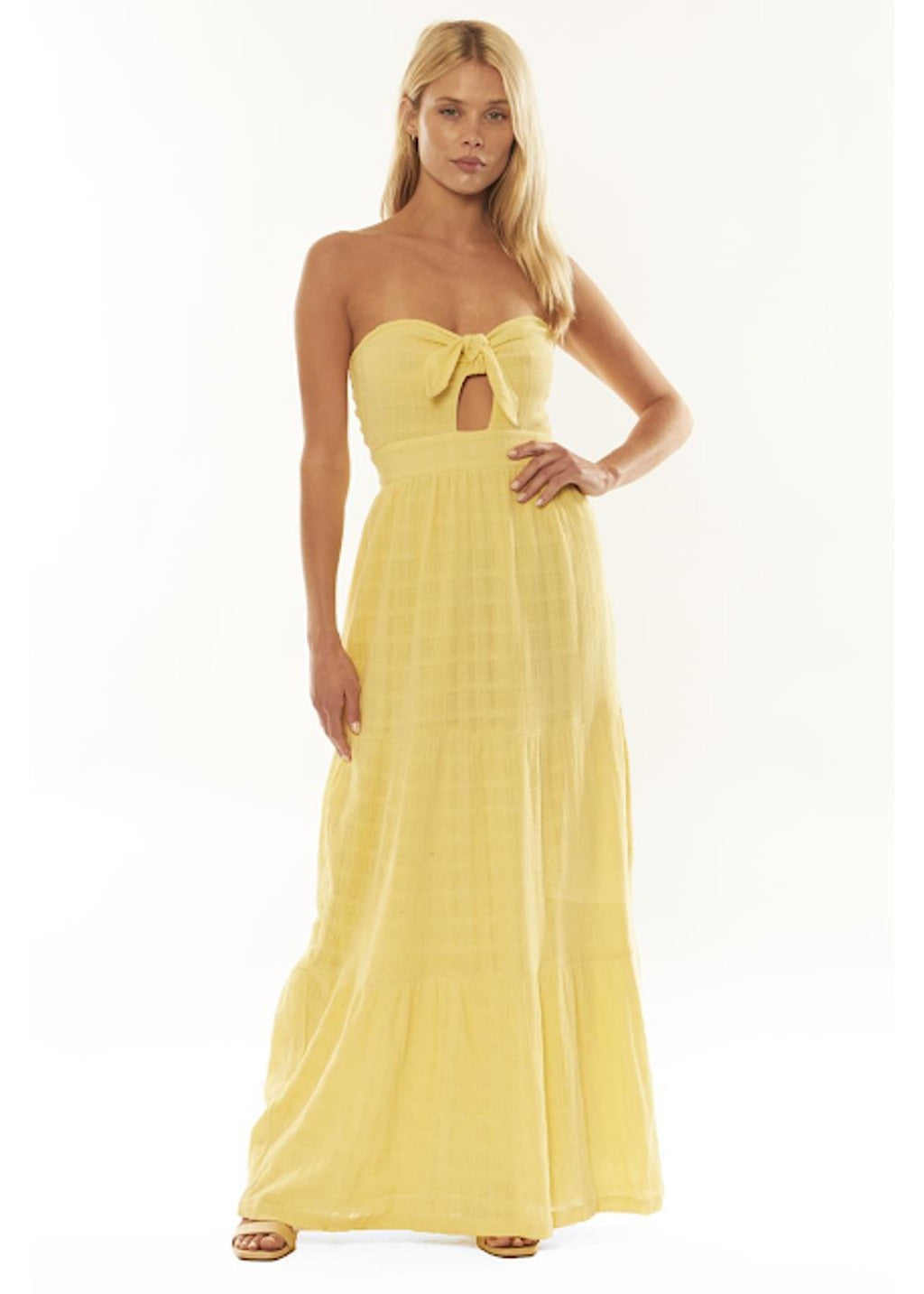 AMUSE SOCIETY CARLI DRESS