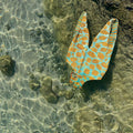 Kanaloa Entero Agua Ornata