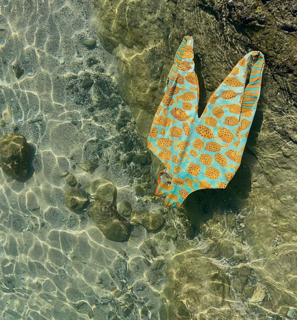 Kanaloa Entero Agua Ornata