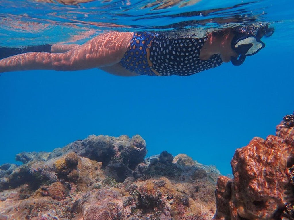 Kanaloa Entero Oceano Meleagris