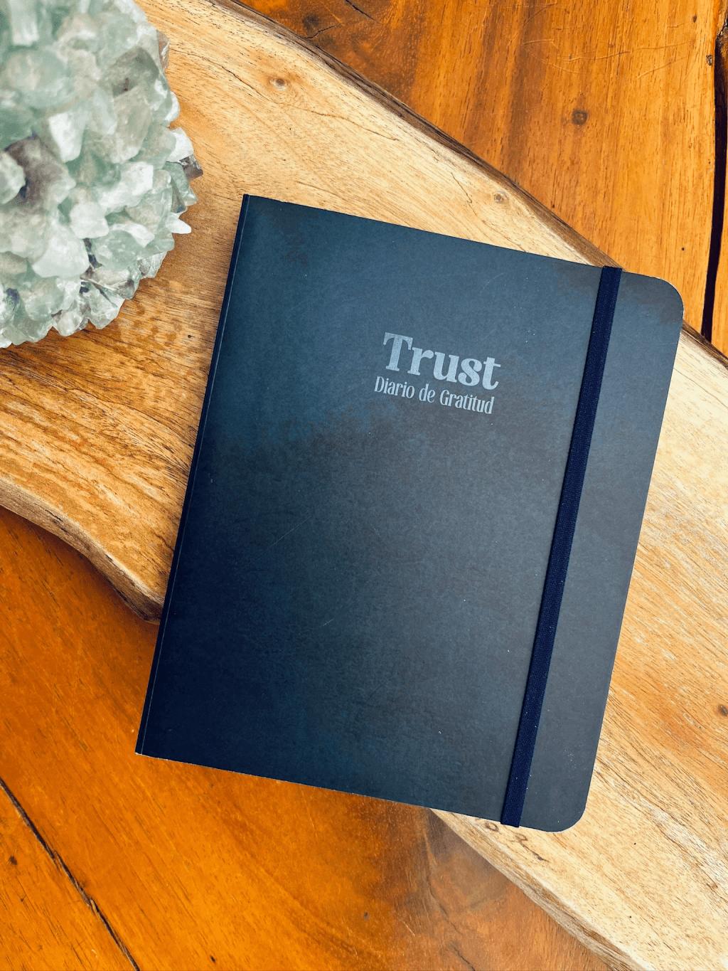PRAGATI TRUST BLUE - Diario Gratitud